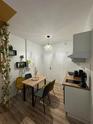 Cuisine ou kitchenette dans l'établissement Studio hyper centre le Cosy