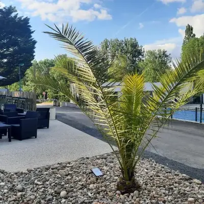 Camping Le Moulin des Effres