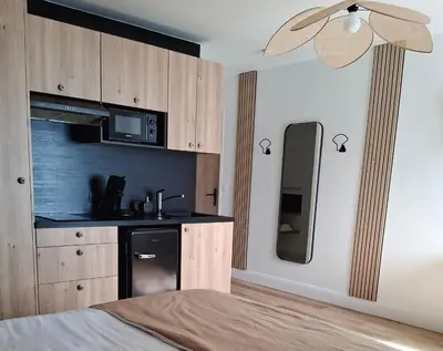 Cuisine ou kitchenette dans l'établissement Appart-Hôtel Rouillac