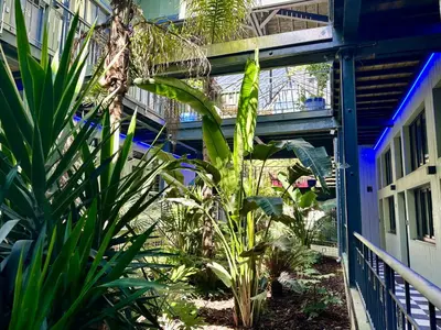 Jardin de l'établissement Smartappart Niort