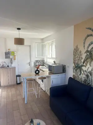 Cuisine ou kitchenette dans l'établissement Studio porte royale