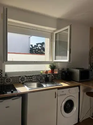 Cuisine ou kitchenette dans l'établissement Studio porte royale