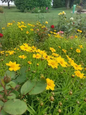 Jardin de l'établissement Lagalerne