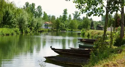 Vue sur la rivière ou le fleuve situé(e) à proximité de le B&B/chambre d'hôtes