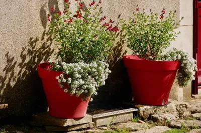 Jardin de l'établissement Gîte lépicerie de madeleine