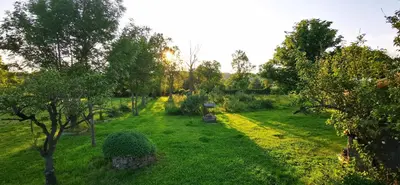 Jardin de l'établissement Gîte en matériaux naturels Sauna, couchers de soleil et chevaux