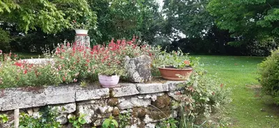 Jardin de l'établissement Gîte Garouille