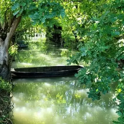 La chaume du marais poitevin avec barque green venice with boat