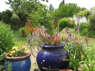 Jardin de l'établissement Agréable & Lumineux