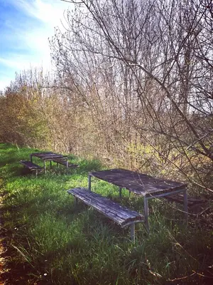 Jardin de l'établissement L'Aarona du Lidon