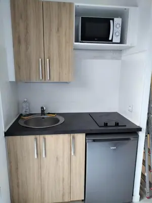 Cuisine ou kitchenette dans l'établissement Studio Sardinerie