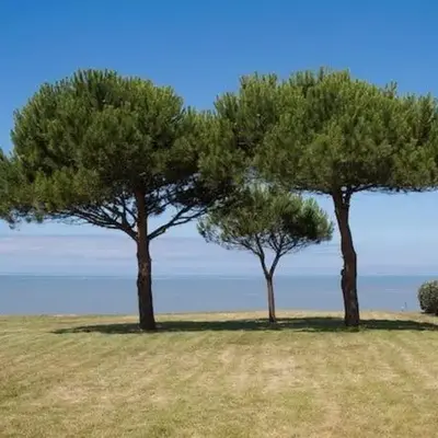 Appartement avec piscine et accès direct à la mer