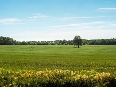 Paysage naturel près de la maison de vacances