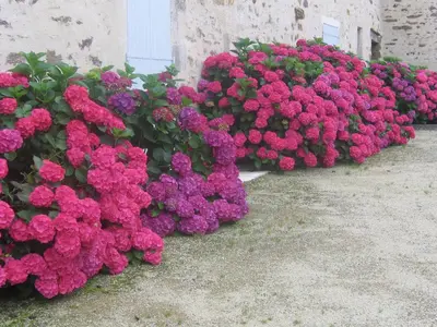 Jardin de l'établissement Holiday Home Saint-Laurent Pool Retreat