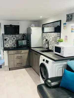 Cuisine ou kitchenette dans l'établissement Appartement Le Transbordeur