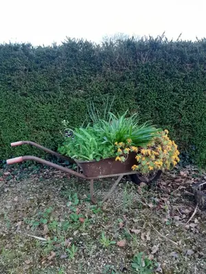Jardin de l'établissement Le Petit Gîte de la gare