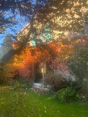 Jardin de l'établissement Suite familiale Namaste