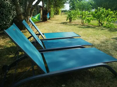Jardin de l'établissement Gîte au coeur du Marais Poitevin - Maillezais - 6 Personnes