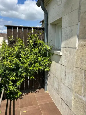 Jardin de l'établissement TI ST BARTH - Maison cosy - Dispo dès le 01 mars