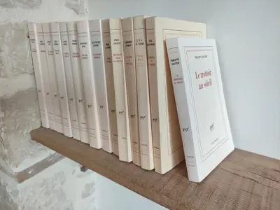 Bibliothèque dans la maison d'hôtes
