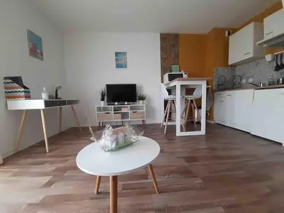 Cuisine ou kitchenette dans l'établissement Laïa, studio type Scandinave, parking