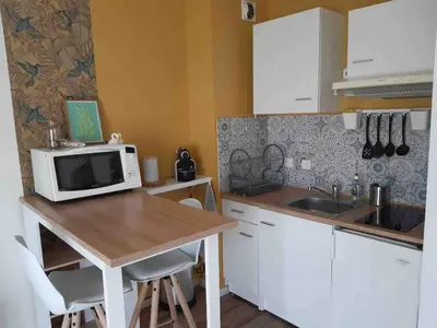 Cuisine ou kitchenette dans l'établissement Laïa, studio type Scandinave, parking