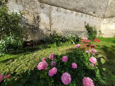 Jardin de l'établissement Appartement de charme dans une maison de maître