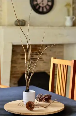 Plan de l'établissement Maison de campagne avec piscine