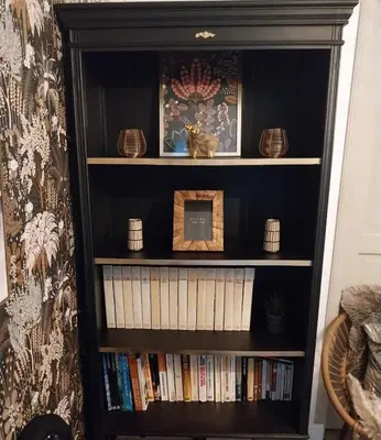 Bibliothèque dans le séjour chez l'habitant