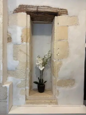 Plan de l'établissement Belle maison centre ville La Rochelle