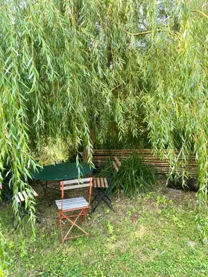 Jardin de l'établissement La villa du Moulin