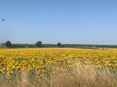 Paysage naturel près de la maison de vacances