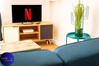 Télévision ou salle de divertissement dans l'établissement La Chrysalide by CozyLife - Centre Ville