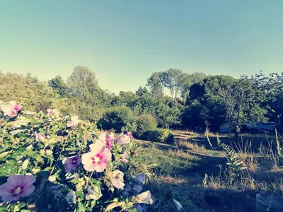 Jardin de l'établissement Omnia