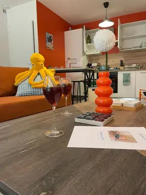Cuisine ou kitchenette dans l'établissement Nouveau le Tendance 70's! Appart à 100m du marché - Parking gratuit à 20m -