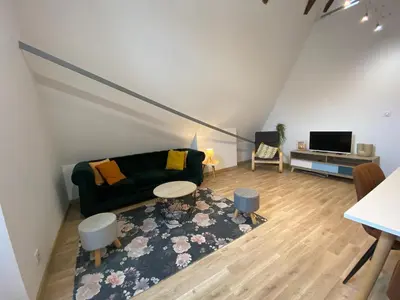 Télévision ou salle de divertissement dans l'établissement Le Colibri, Spacieux T2 bis avec mezzanine, calme et central à Poitiers