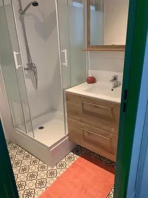 Salle de bains dans l'établissement Studio vert idéalement situé gare cœur de ville et accès direct bus futuroscope