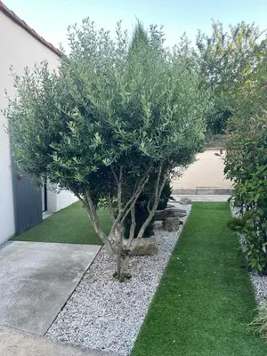 Jardin de l'établissement Charmant logement indépendant avec patio