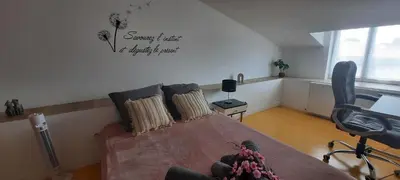 Télévision ou salle de divertissement dans l'établissement Chambre CHARDON - Maison partagée - 2 personnes
