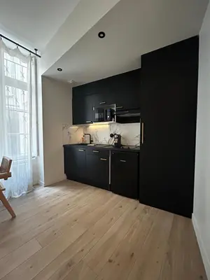 Cuisine ou kitchenette dans l'établissement Studio élégant