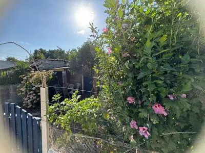 Jardin de l'établissement Maison dans village calme à la mer