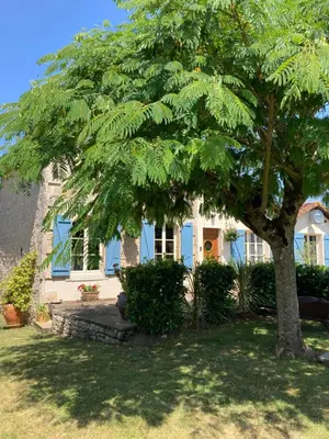 Jardin de l'établissement Silk Tree