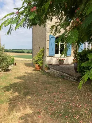 Jardin de l'établissement Silk Tree