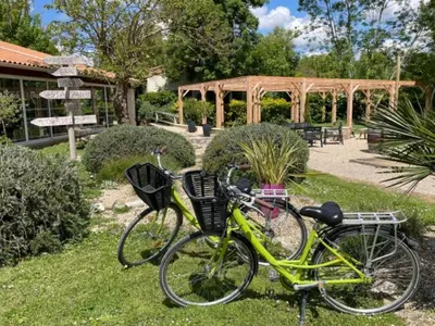 Jardin de l'établissement Chalet accessible avec terrasse à Coulon - API-1-52-596