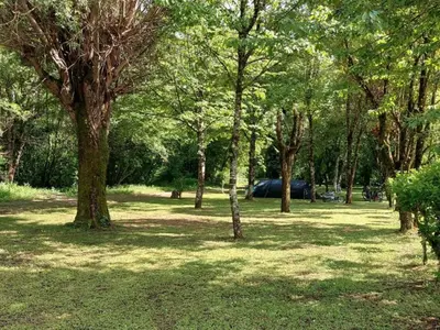 Jardin de l'établissement Mobil-home cosy 4 pers avec terrasse - API-1-52-750