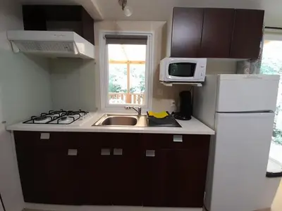 Cuisine ou kitchenette dans l'établissement Mobil-home confortable avec terrasse, 3 chambres pour 6 personnes - API-1-52-752