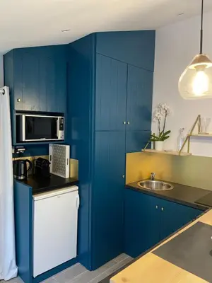 Cuisine ou kitchenette dans l'établissement Studio charmant