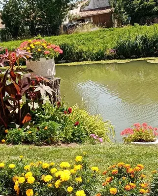 Jardin de l'établissement MARAIS POITEVIN Gîte Nature et Serein Vue imprenable sur la rivière Calme absolu Idéal pour familles couples voyageurs