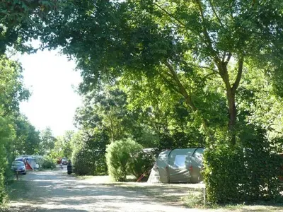 Paysage naturel près de le camping