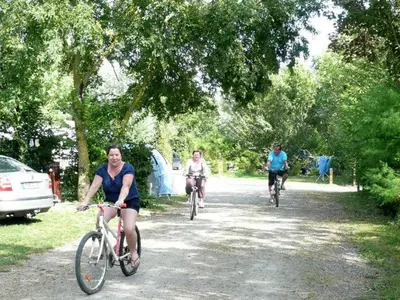 Vélo sur le terrain de l'établissement Mobil-home 6 pers avec terrasse à Chaillé-les-Marais - API-1-52-499 ou dans les environs